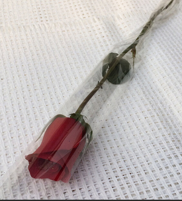 Втулки Био-Degradable прозрачного цветка одиночные розовые для магазина цветков/магазина розничной торговли