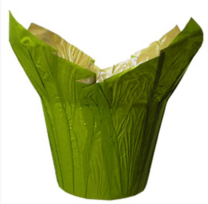 Зеленые естественные цветочные горшки бумаги Kraft покрывают/малые крытые декоративные цветочные горшки